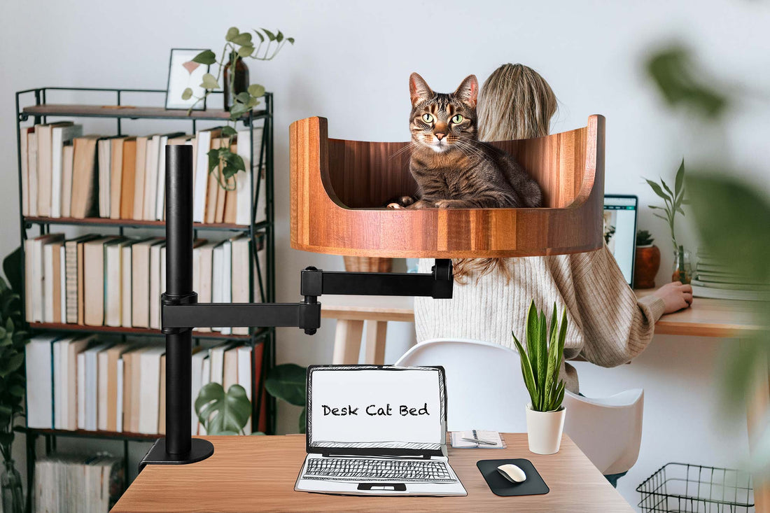 cat bed pink