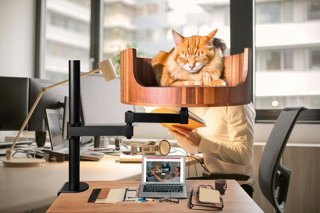 Cat Bed That Attaches to Desk: A Purrfect Workspace Solution