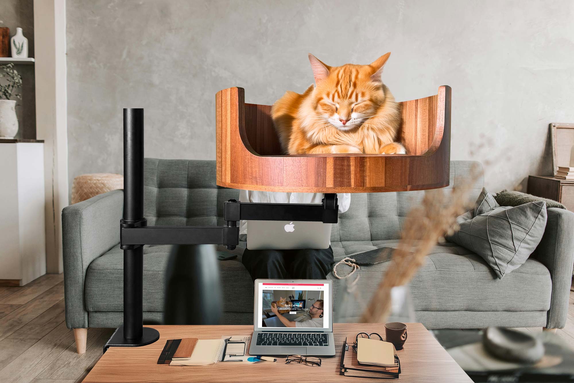 Cat Computer Gif: The Funniest Animal Animation Online – Desk Cat Nest
