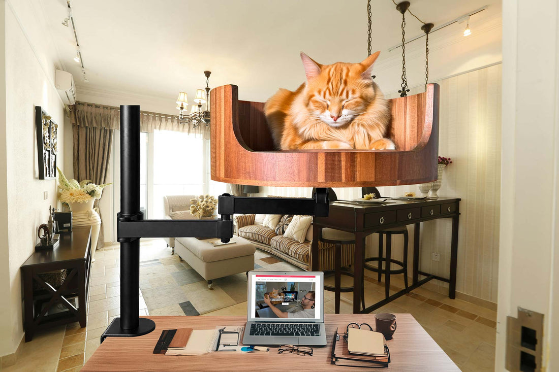 Cat Couch for Desk: The Purrfect Workspace Addition