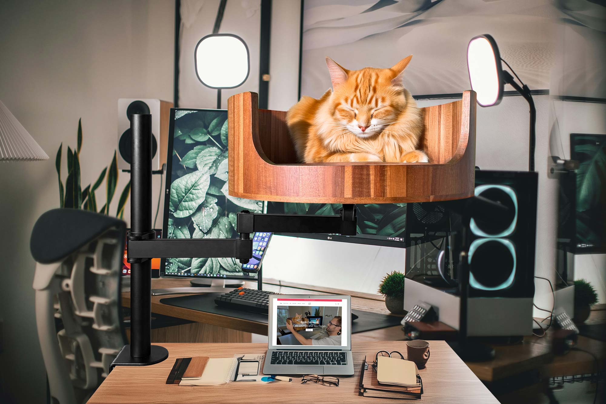 Cat Defecating on Bed: Understanding the Behavior – Desk Cat Nest