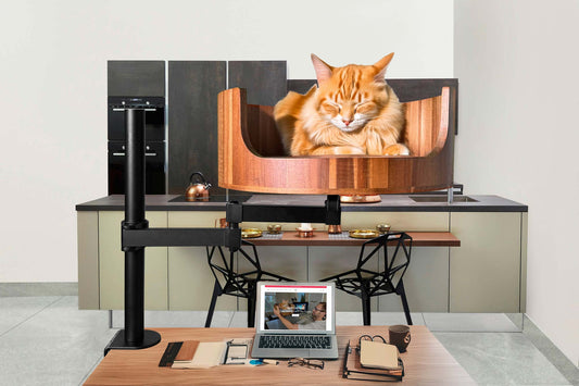 Cat Hammock for Desk: A Cozy Workspace Solution