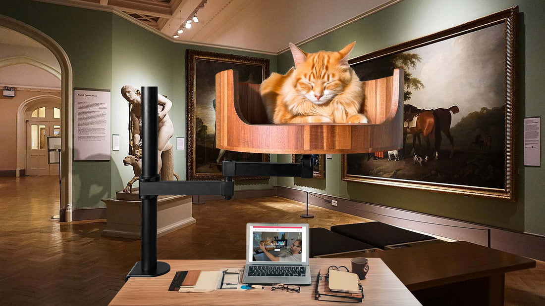 cat meowing without sound