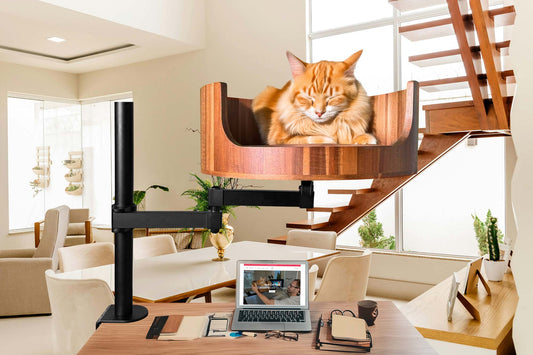 Cat on the Desk: A Feline's Favorite Spot to Relax