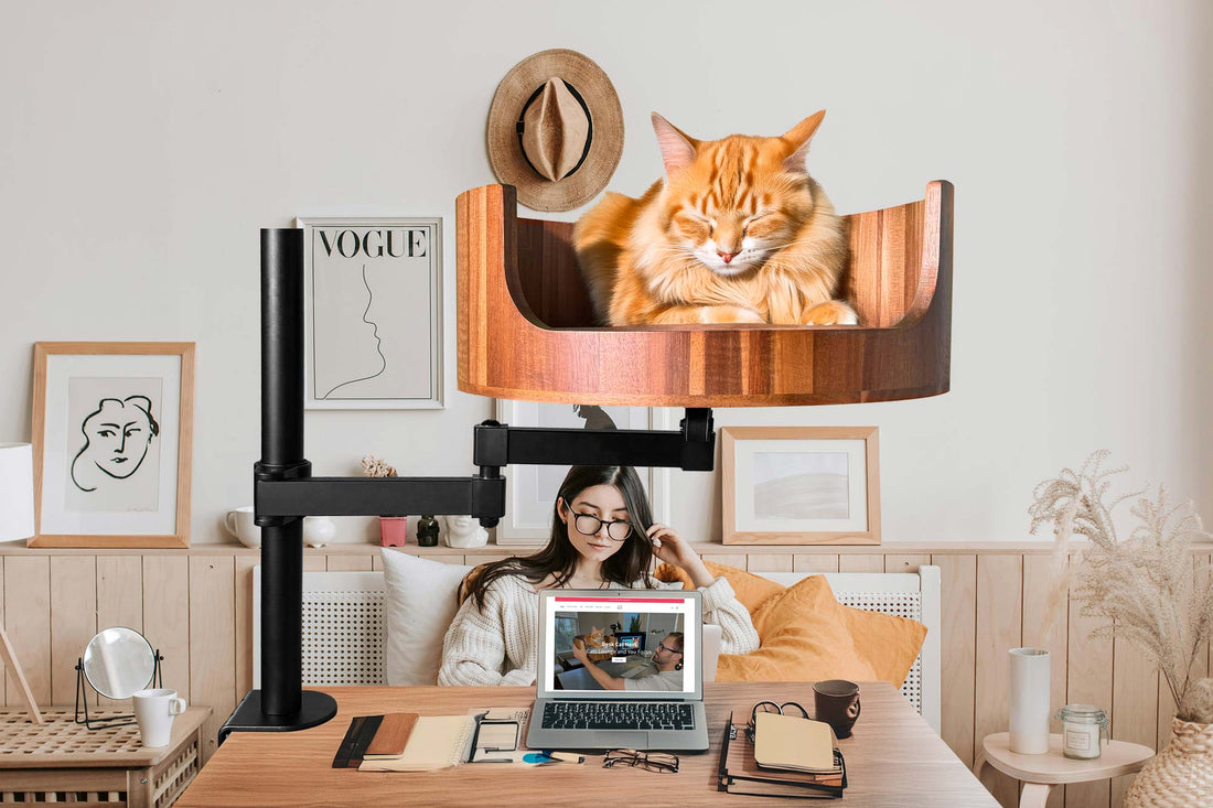 Cat Perch for Desk: The Perfect Workspace Companion