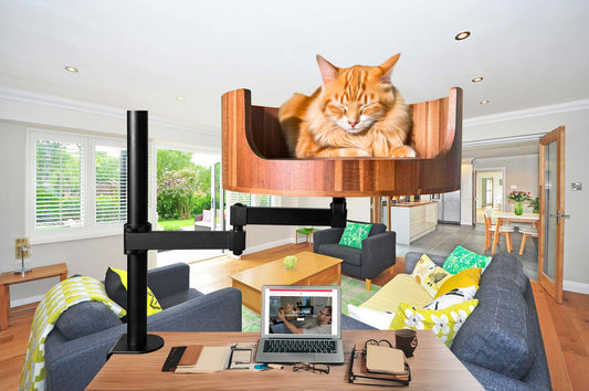 cat sheds excessively