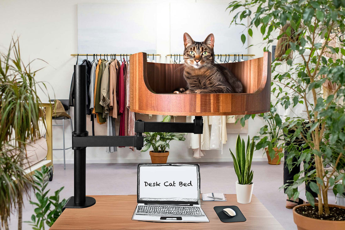 cat sleeping in cat bed