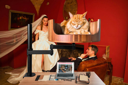 cat with arm on table meme