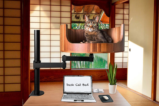 cats wag their tails