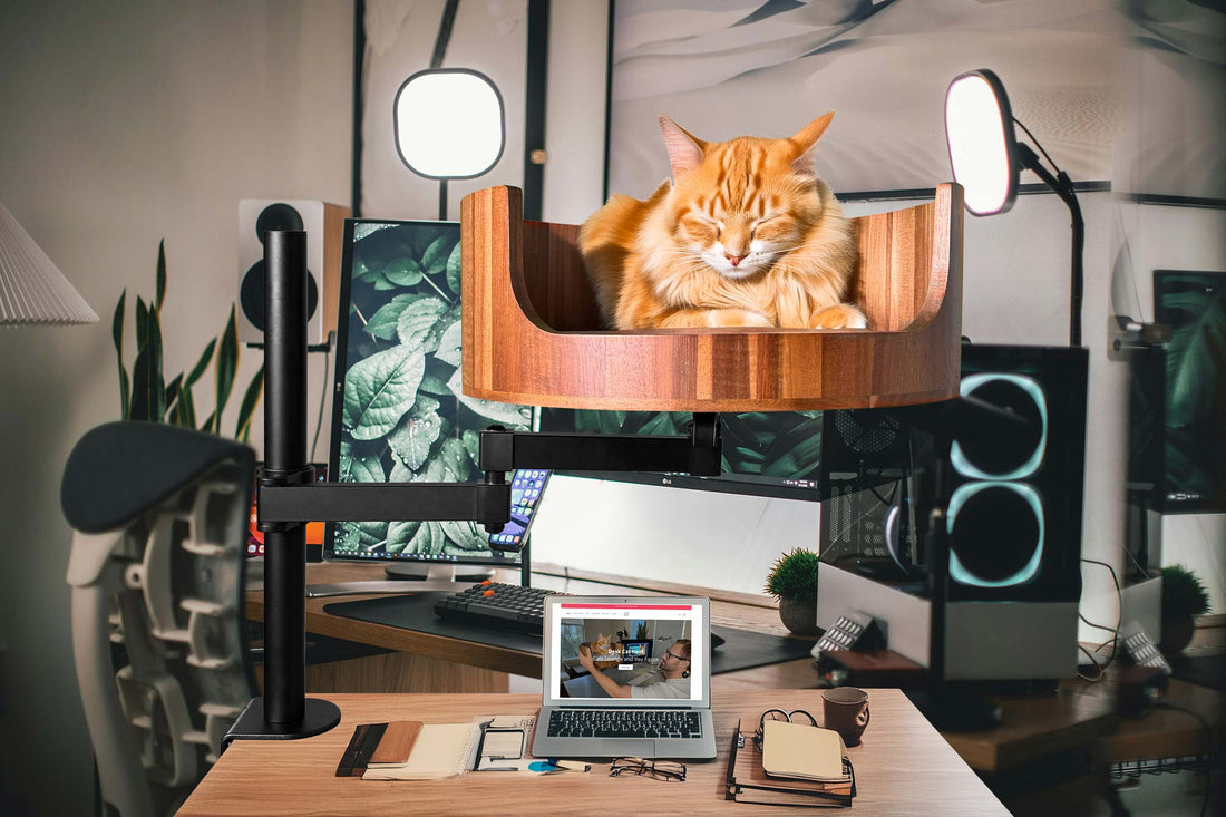 Clamp on Desk Cat Bed: The Purrfect Space Saver