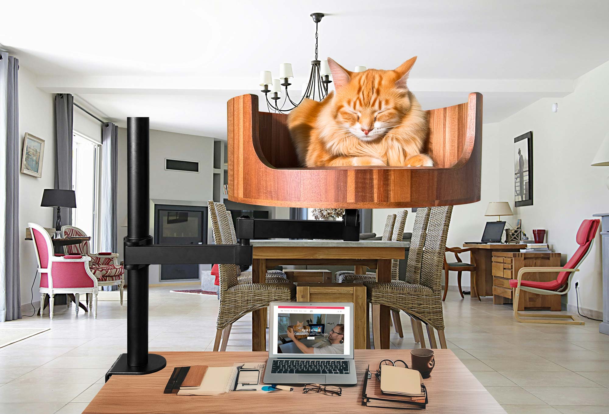 Clear Cat Throw Up: Effective Cleaning Tips for Pet Owners – Desk Cat Nest