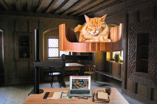 Clip on Cat Bed for Desk: A Cozy Solution for Cats