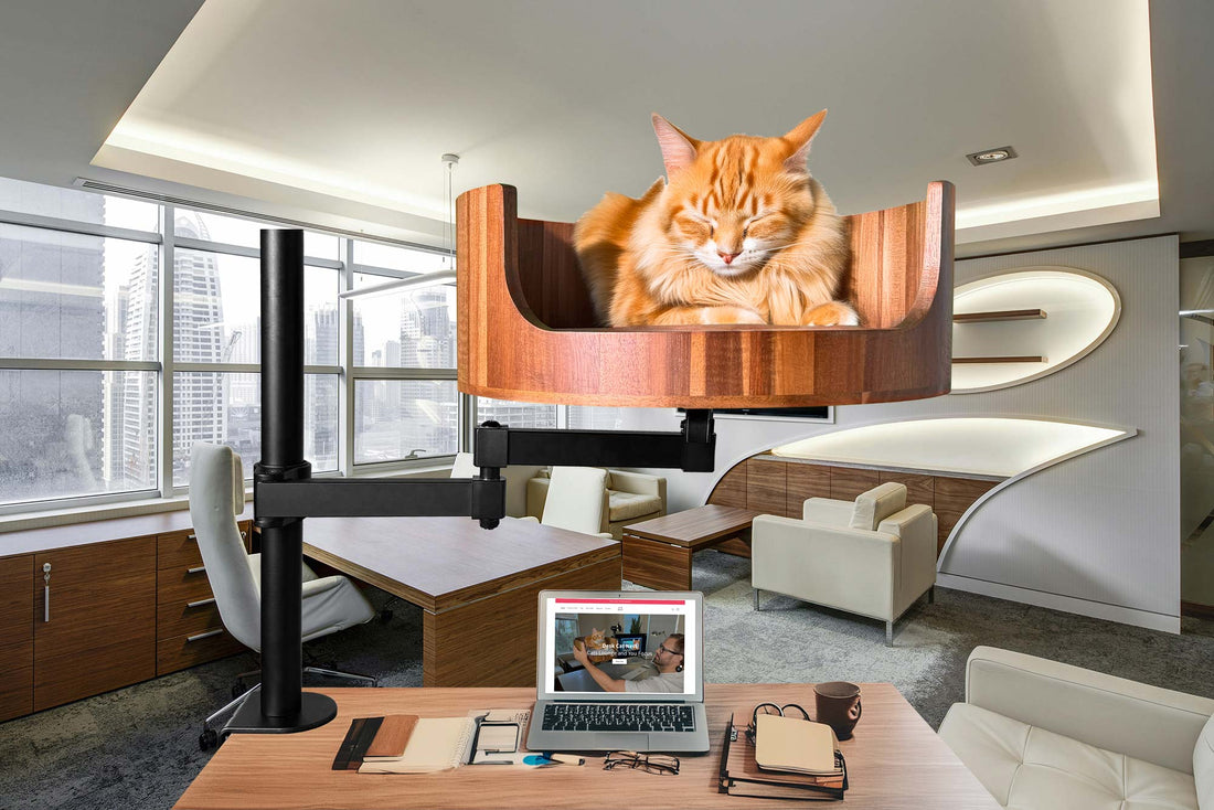 Desk Attachment Cat Bed: A Cozy Workspace Solution