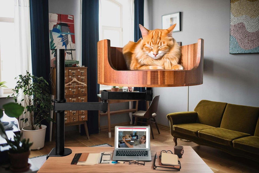 Desk Bed for Cat: The Perfect Space-Saving Solution