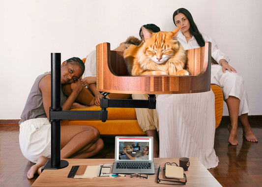 Desk Bed for Cats: The Perfect Solution for Your Feline