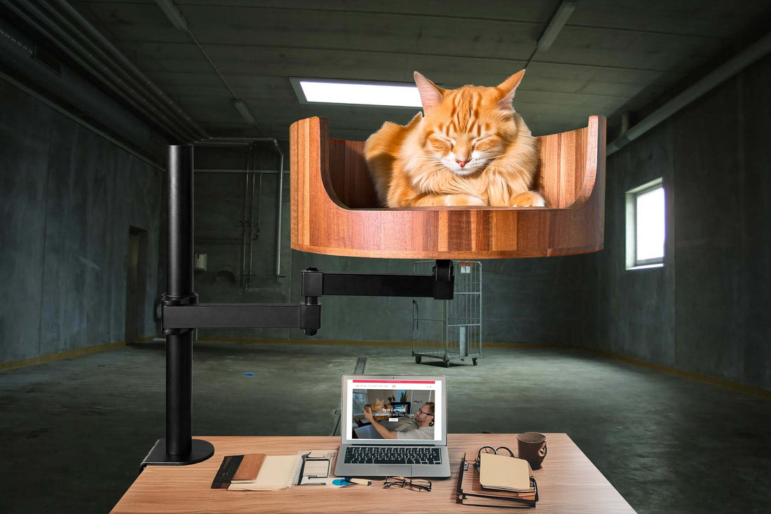 Desk Cat Bed Amazon: The Perfect Workspace Companion