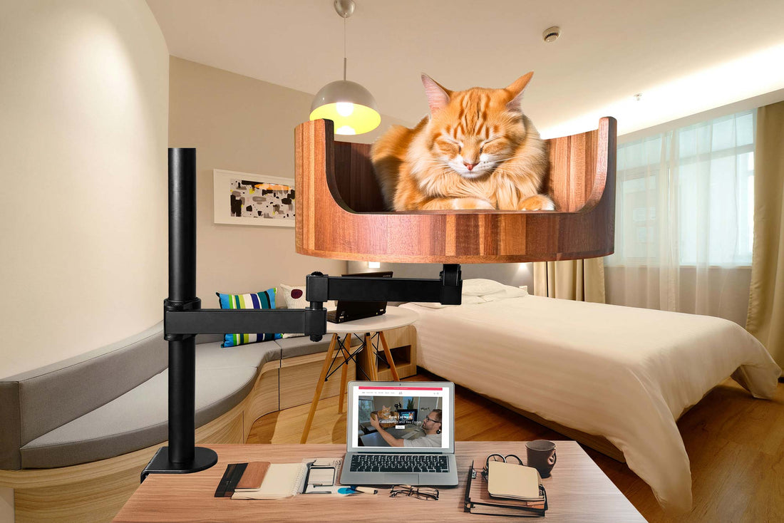 Desk Mounted Nest  Cat Bed: The Purrfect Workspace Companion