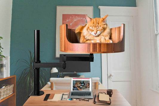 Desk Chair Cat Bed Attachment: A Cozy Solution for Pets