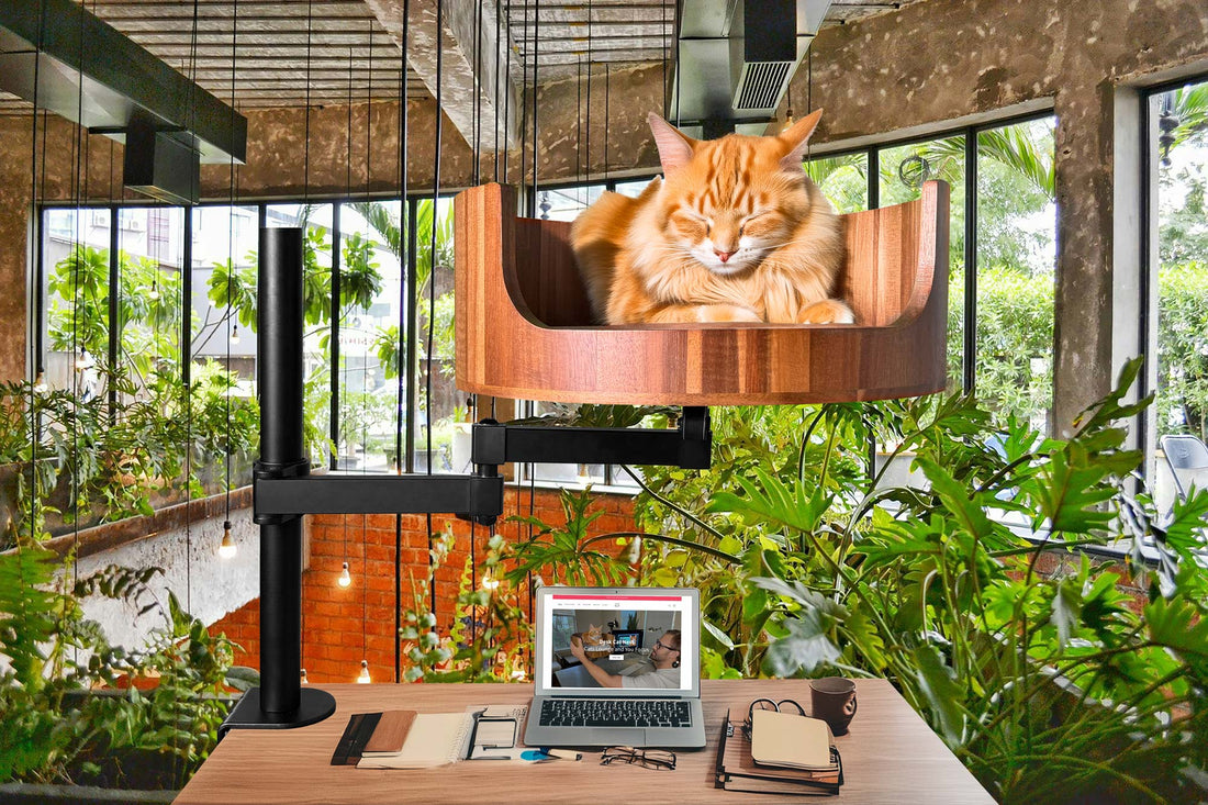 Desk Mount Cat Bed: The Purrfect Space-Saving Solution