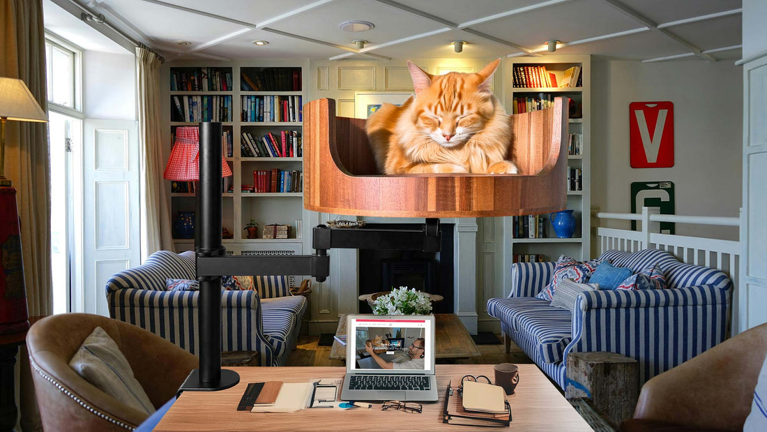 Desk Mounted Cat Bed: The Purrfect Workspace Addition