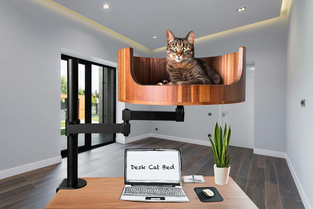 desk mounted nest  for cats