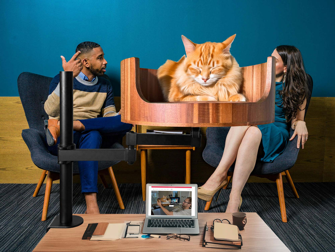 desk nest cat bed amazon