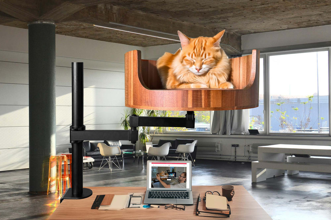 Desk Net Cat Bed: The Perfect Spot for Your Feline Friend