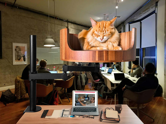 Desk Top Cat Bed: The Perfect Cozy Spot for Your Feline