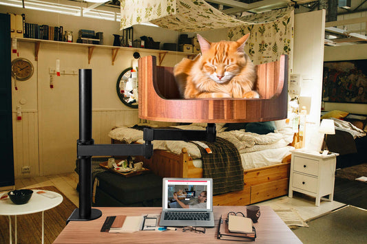 Desktop Cat Couch: The Purrfect Workspace Companion