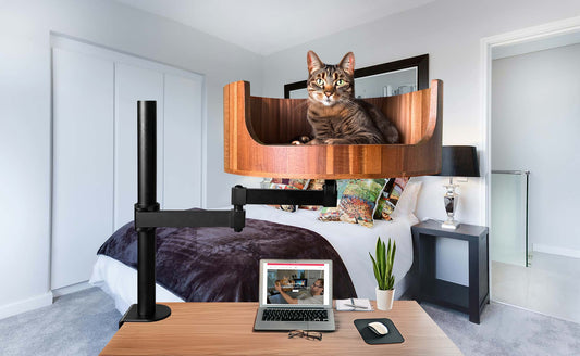 found 4 fleas on my cat