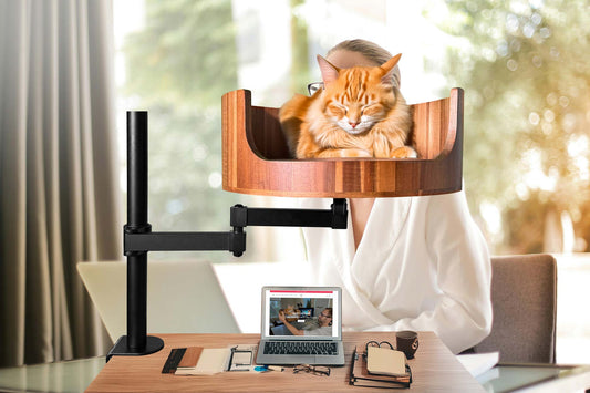 gabapentin safe for cats