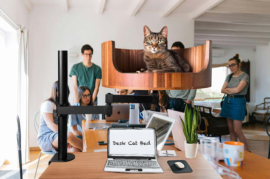 gothic cat tree with coffin cat bed