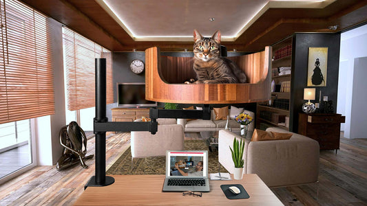 how much does a cat 9 cost