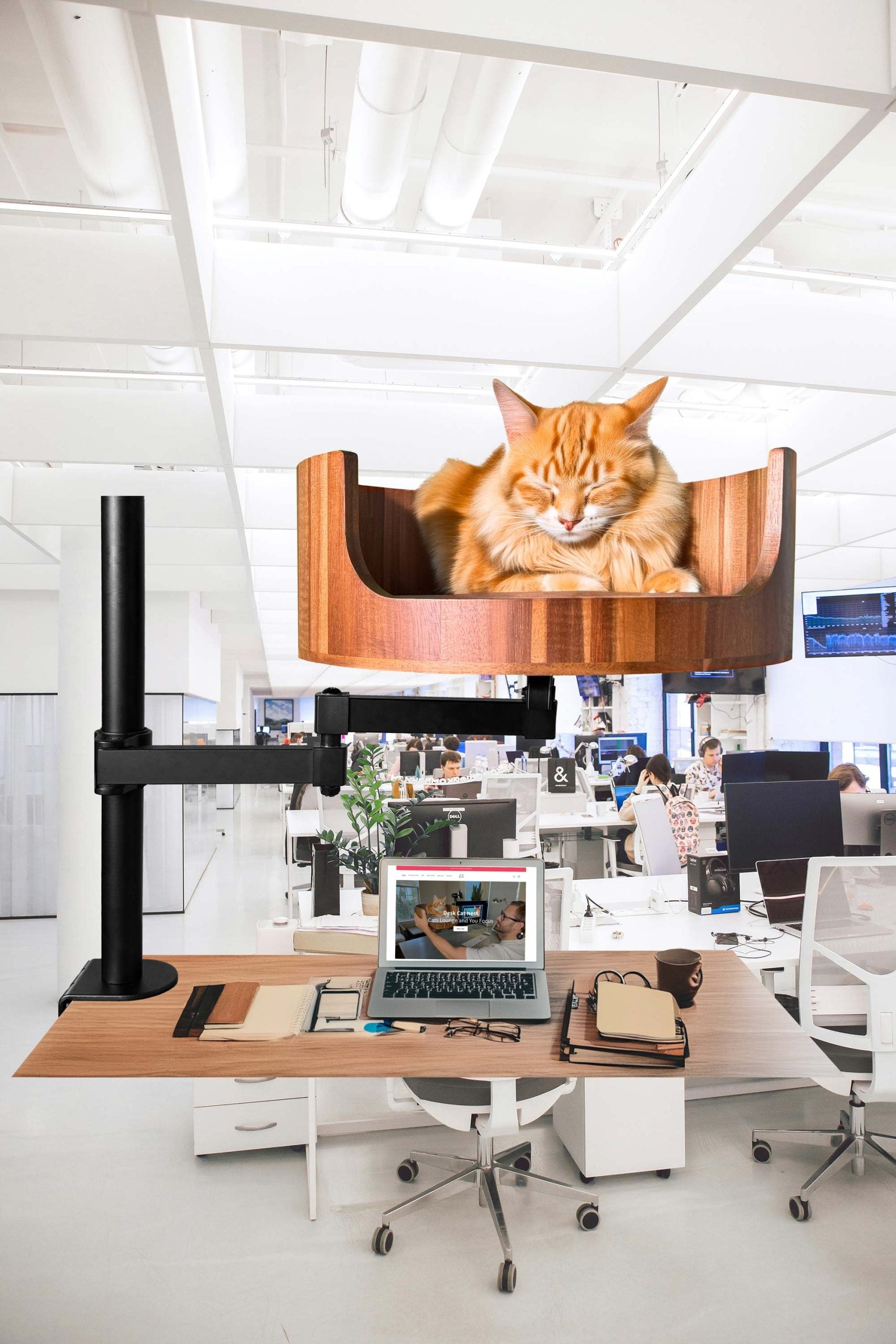 How to Turn Off a Cat Power Station: A Simple Guide – Desk Cat Nest