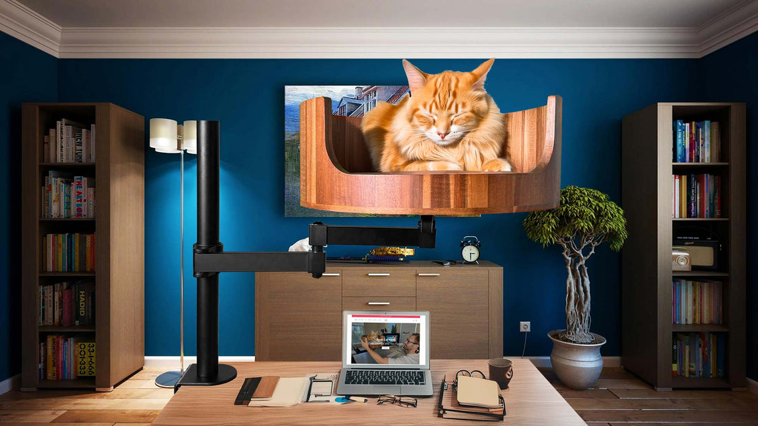 identifying cat breeds