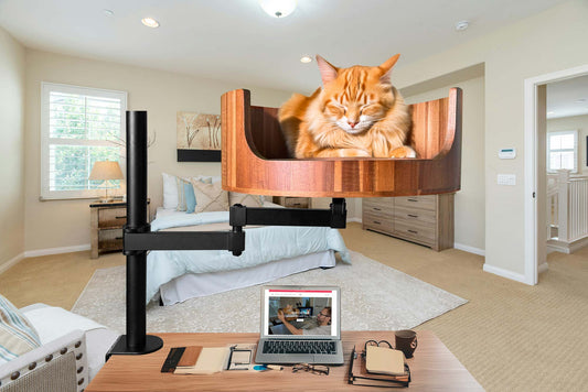 juicy couture pet bed