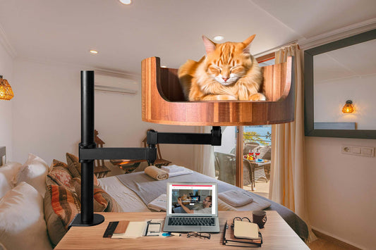 my cat from hell season 7