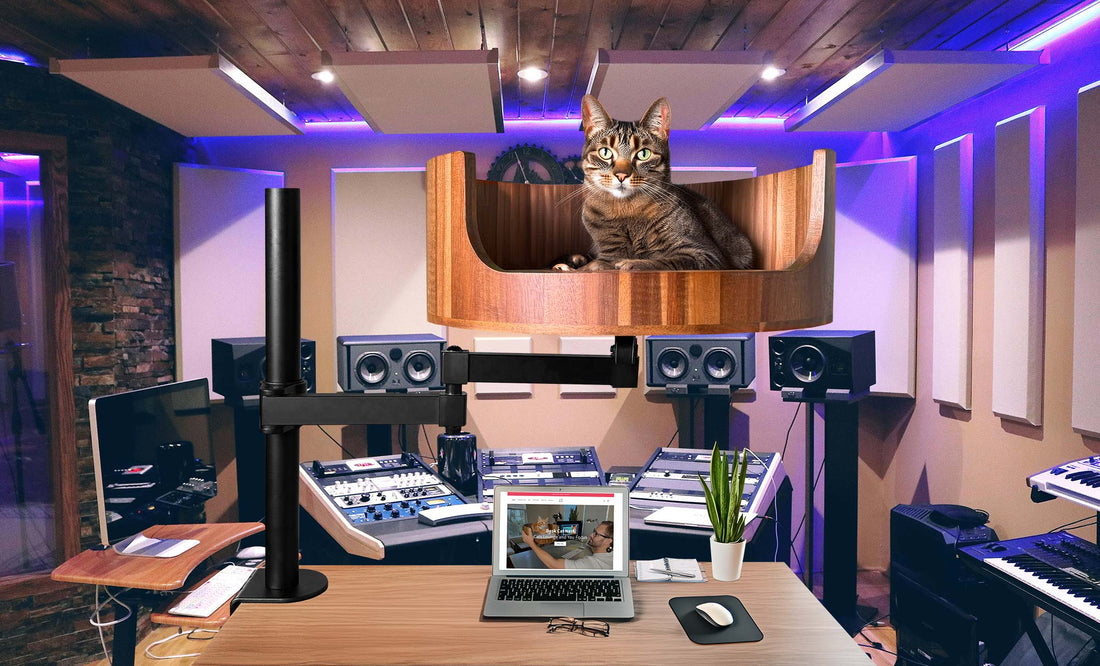 my cat from hell season 9