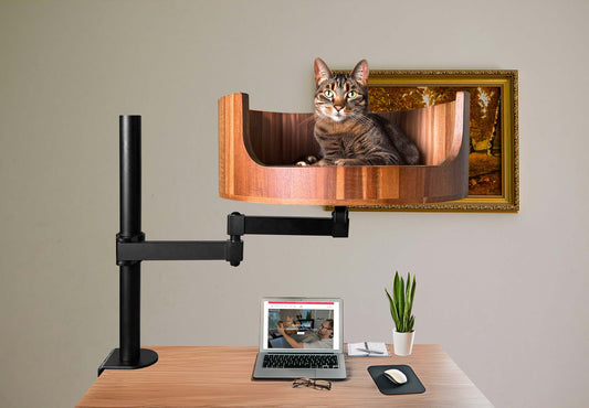 my cat gets zoomies after pooping