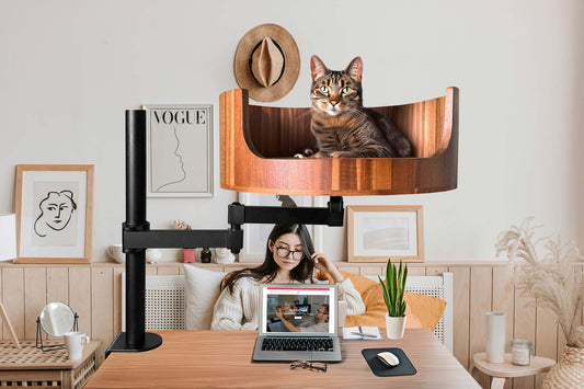 my cat is 63 days pregnant