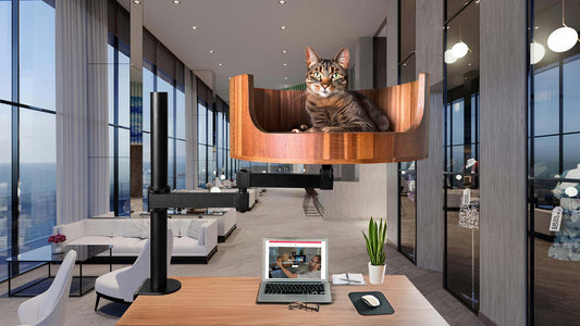 my cat keeps biting me