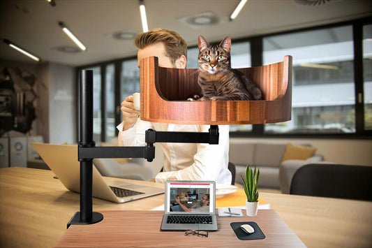 my cat keeps peeing on my clothes