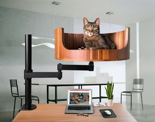 my cat keeps pooping on the floor