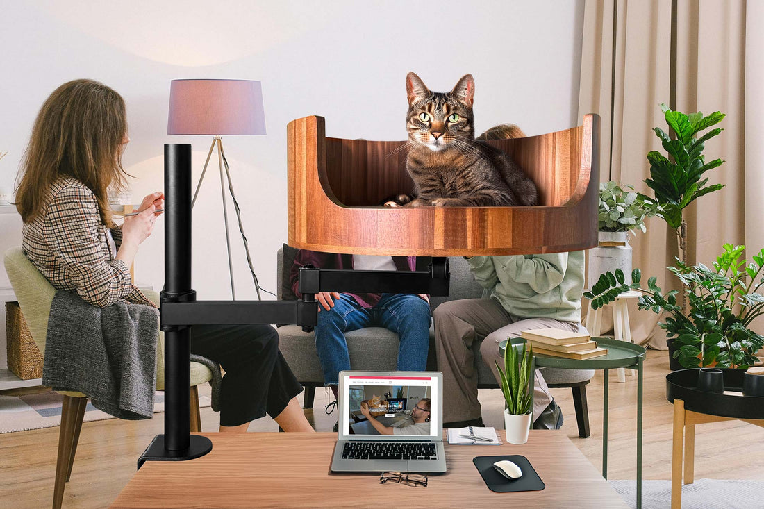 my cat poops 5 times a day