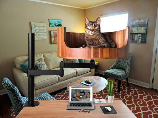 my cat quit using the litter box