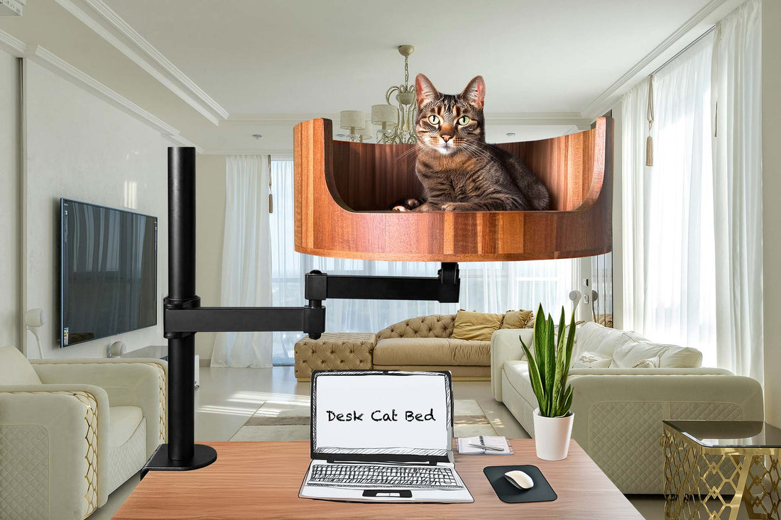 pet bed zara