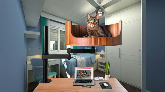 quotes about missing my cat