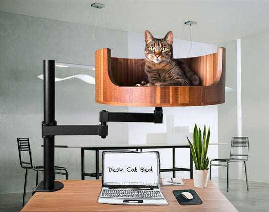 swinging cat bed