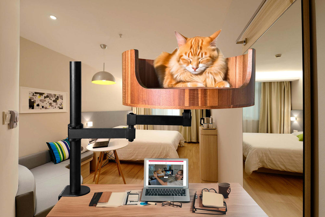 Under Desk Cat Bed: The Perfect Cozy Spot for Cats