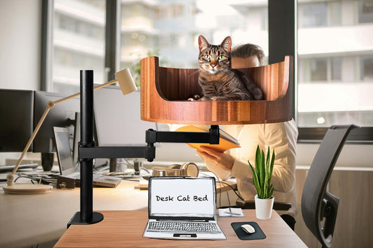 what is a cat d vehicle